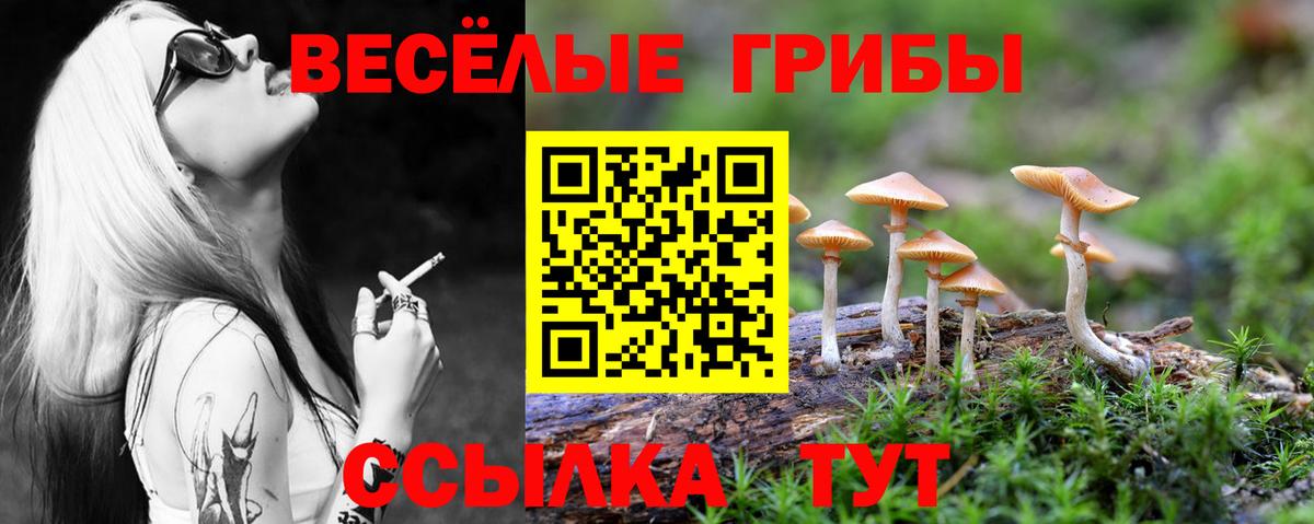 Галлюциногенные грибы мицелий  Псилоцибиновые грибы GOLDEN TEACHER  Новодвинск  Вход с VPN 
