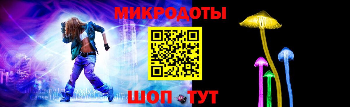 Псилоцибиновые грибы Psilocybine cubensis Новодвинск
